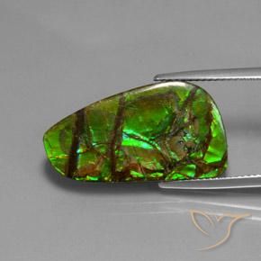 amolita Multicolorido Natural 12.43ct, Chique, Opaco