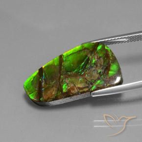 amolita Multicolorido Natural 12.43ct, Chique, Opaco