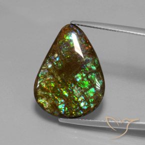 14.33ct Natural Multicolorido amolita, Formato de pêra, Opaco