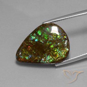 amolita Multicolorido Natural 14.33ct, Formato de pêra, Opaco