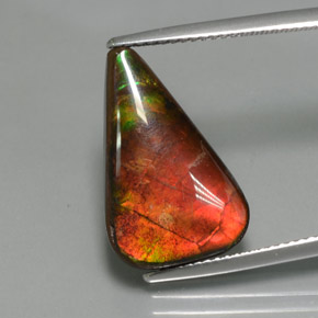 Ammolita multicolorido natural 7,72ct, forma extravagante, opaco