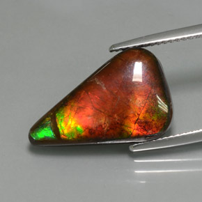 Ammolita multicolorido natural 7,72ct, forma extravagante, opaco
