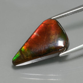 Ammolita multicolorido natural 7,72ct, forma extravagante, opaco