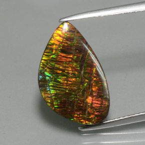 Amolita Multicolorido Natural 5.72ct, Forma extravagante, Opaco