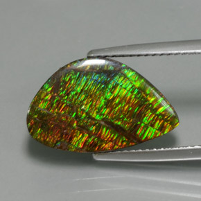 Amolita Multicolorido Natural 5.72ct, Forma extravagante, Opaco