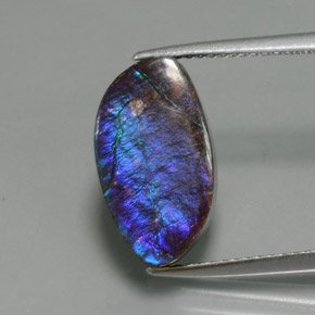 Amolita Multicolorido Natural 4.88ct, Forma extravagante, Opaco