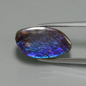 Amolita Multicolorido Natural 4.88ct, Forma extravagante, Opaco