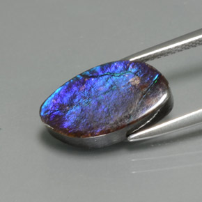 Amolita Multicolorido Natural 4.88ct, Forma extravagante, Opaco