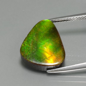 Ammolita multicolorido natural 6,81ct, forma extravagante, opaco