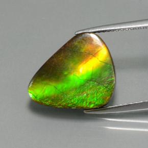 Ammolita multicolorido natural 6,81ct, forma extravagante, opaco