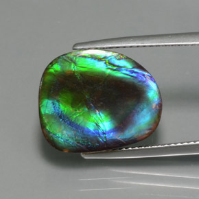 Amolita Multicolorido Natural 8.30ct, Forma extravagante, Opaco