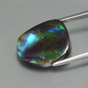 Amolita Multicolorido Natural 8.30ct, Forma extravagante, Opaco
