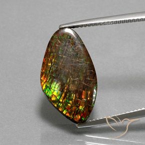 10.29ct Natural Multicolorido amolita, Chique, Opaco