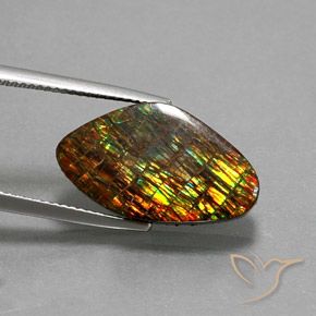 amolita Multicolorido Natural 10.29ct, Chique, Opaco