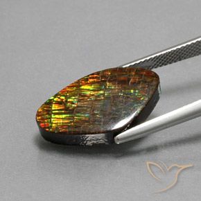 amolita Multicolorido Natural 10.29ct, Chique, Opaco