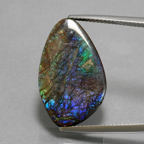 Ammolita multicolorido natural 10,99ct, forma extravagante, opaco