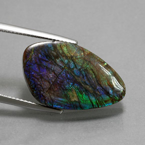 Ammolita multicolorido natural 10,99ct, forma extravagante, opaco