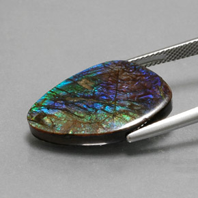 Ammolita multicolorido natural 10,99ct, forma extravagante, opaco