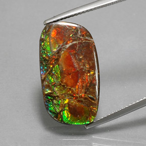 Ammolita multicolorido natural 11,39ct, forma extravagante, opaco