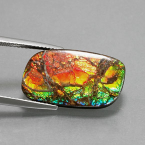 Ammolita multicolorido natural 11,39ct, forma extravagante, opaco