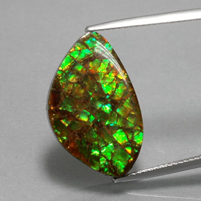 Amolita Multicolorido Natural 11.61ct, Forma extravagante, Opaco