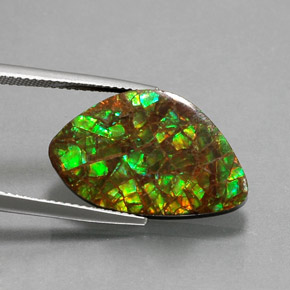Amolita Multicolorido Natural 11.61ct, Forma extravagante, Opaco