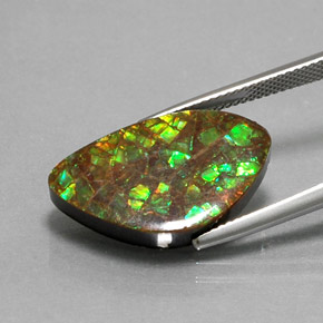 Amolita Multicolorido Natural 11.61ct, Forma extravagante, Opaco