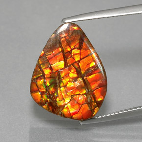 Ammolita multicolorido natural 11,57ct, forma extravagante, opaco
