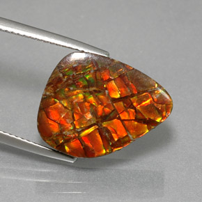 Ammolita multicolorido natural 11,57ct, forma extravagante, opaco