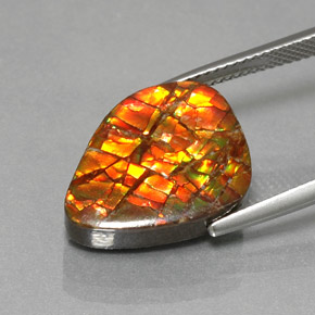 Ammolita multicolorido natural 11,57ct, forma extravagante, opaco