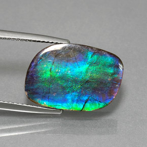 Ammolita multicolorido natural 8,79ct, forma extravagante, opaco