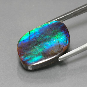 Ammolita multicolorido natural 8,79ct, forma extravagante, opaco