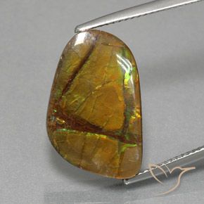 8.36ct Natural Multicolorido amolita, Chique, Opaco