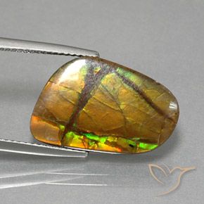 amolita Multicolorido Natural 8.36ct, Chique, Opaco
