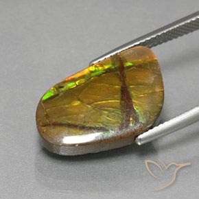amolita Multicolorido Natural 8.36ct, Chique, Opaco
