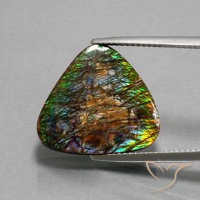 12.33ct Natural Multicolorido amolita, Trilhão, Opaco
