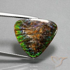 amolita Multicolorido Natural 12.33ct, Trilhão, Opaco