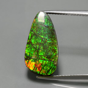 Ammolita multicolorido natural 7,57ct, forma extravagante, opaco