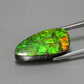 Ammolita multicolorido natural 7,57ct, forma extravagante, opaco