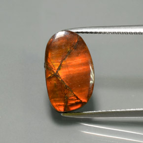 Amolita Multicolorido Natural 5.02ct, Forma extravagante, Opaco