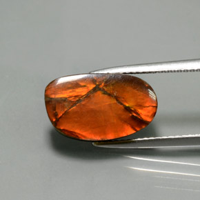 Amolita Multicolorido Natural 5.02ct, Forma extravagante, Opaco