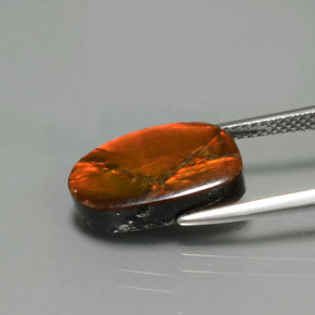 Amolita Multicolorido Natural 5.02ct, Forma extravagante, Opaco