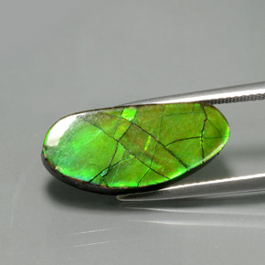 Ammolita multicolorido natural 6,87ct, forma extravagante, opaco