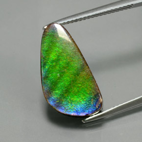 Ammolita multicolorido natural 6,53ct, forma extravagante, opaco