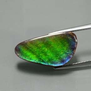 Ammolita multicolorido natural 6,53ct, forma extravagante, opaco