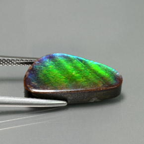Ammolita multicolorido natural 6,53ct, forma extravagante, opaco