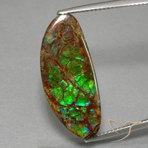 12.02ct Natural Multicolorido amolita, Chique, Opaco