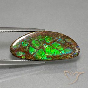 amolita Multicolorido Natural 12.02ct, Chique, Opaco