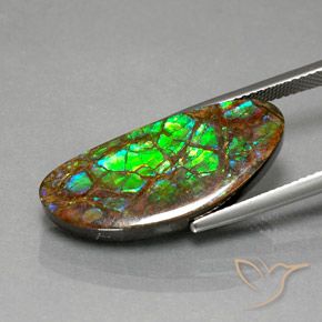 amolita Multicolorido Natural 12.02ct, Chique, Opaco