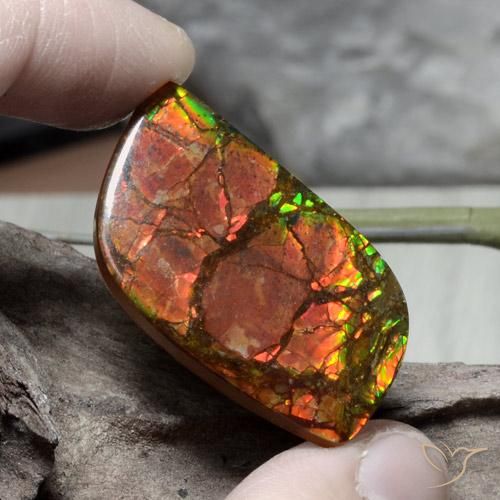 26.89ct Natural Multicolorido amolita, Chique, Opaco